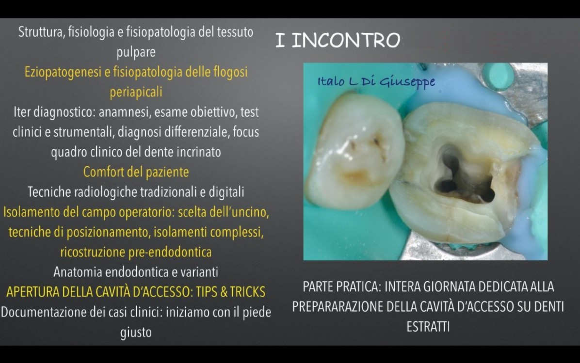 Dr. Italo di Giuseppe - Corso Endo, foto 1